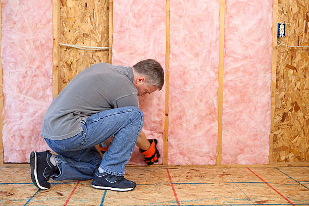 Best Spray Foam Insulation in Litchfield, MN