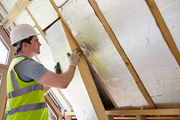 Trusted Litchfield, MN Insulation Contractor Experts